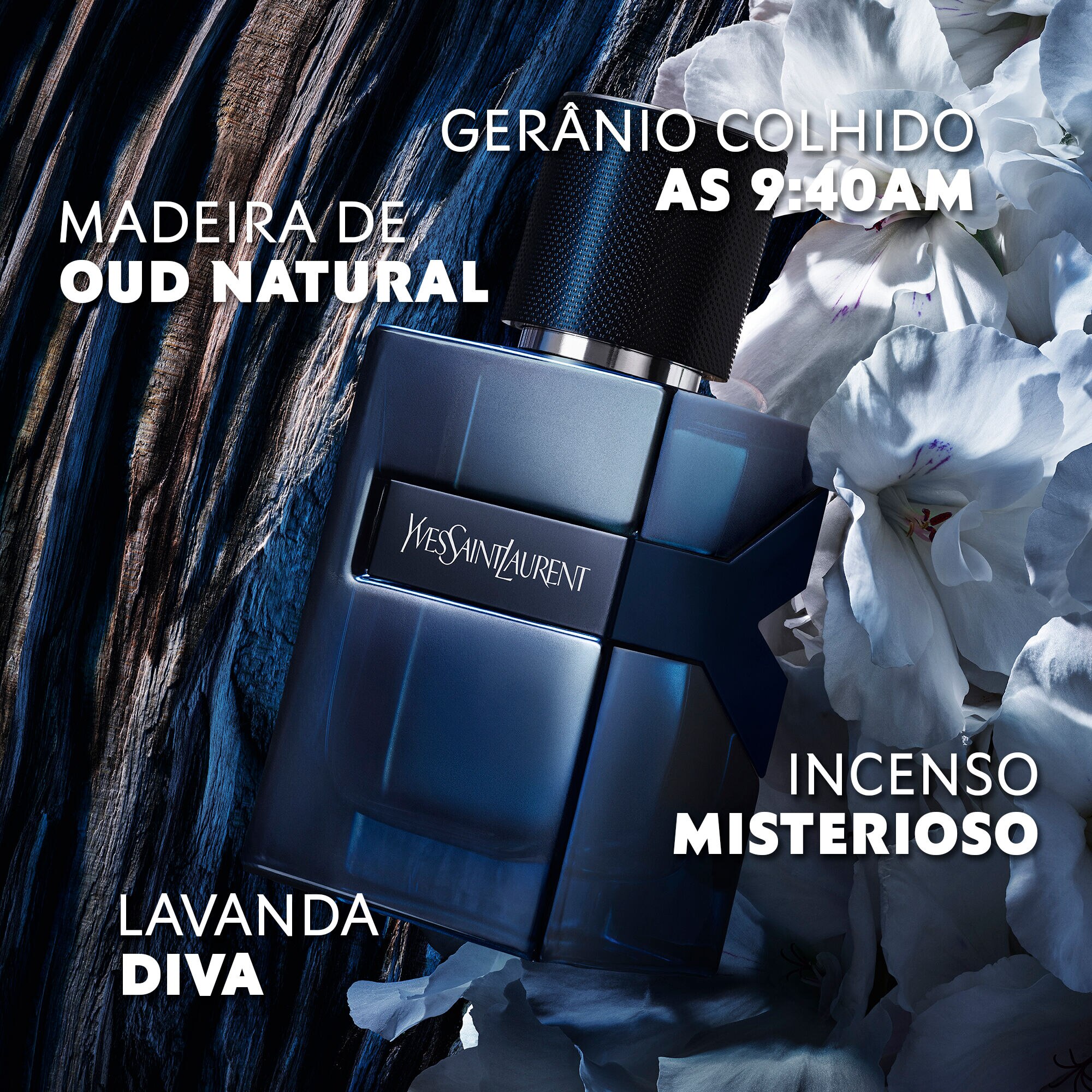 Perfume Y Elixir Masculino Eau de Parfum Intense | Sephora